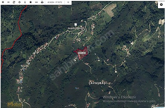 MABEL GAYRİMENKUL-ÇAMAŞ-ÇAVUŞBAŞI MAH.-SATILIK FINDIK BAHÇESİ